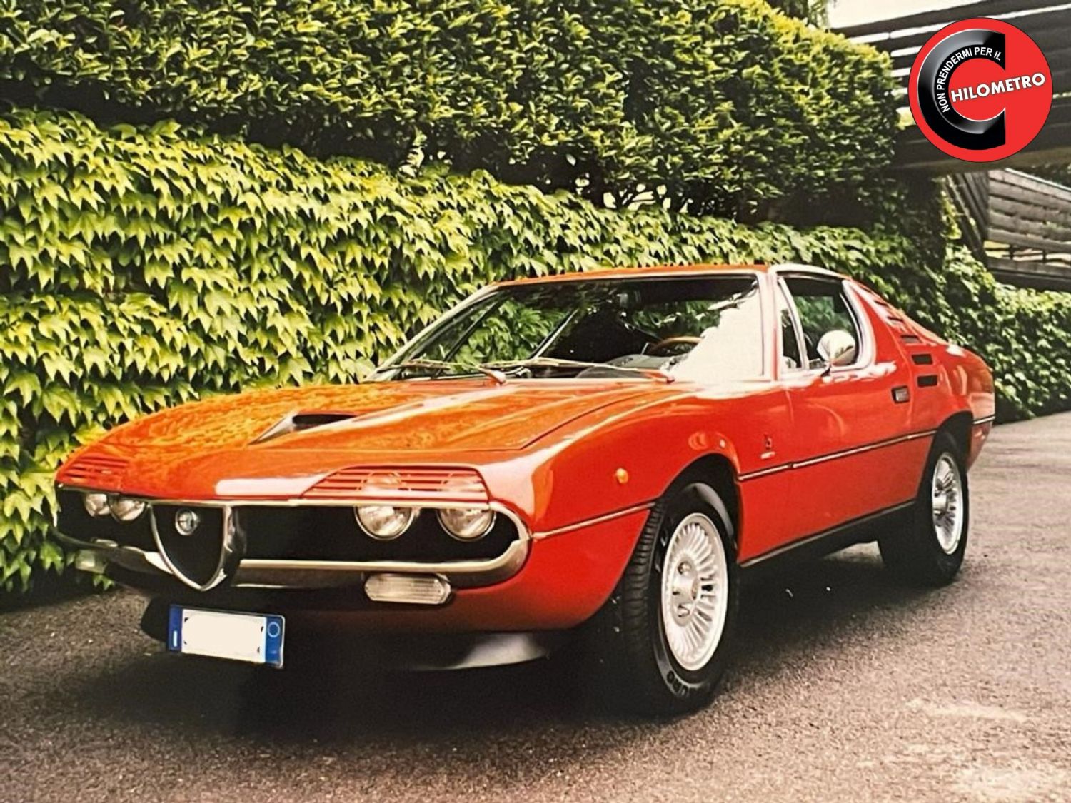 Alfa Romeo Montreal ASI
