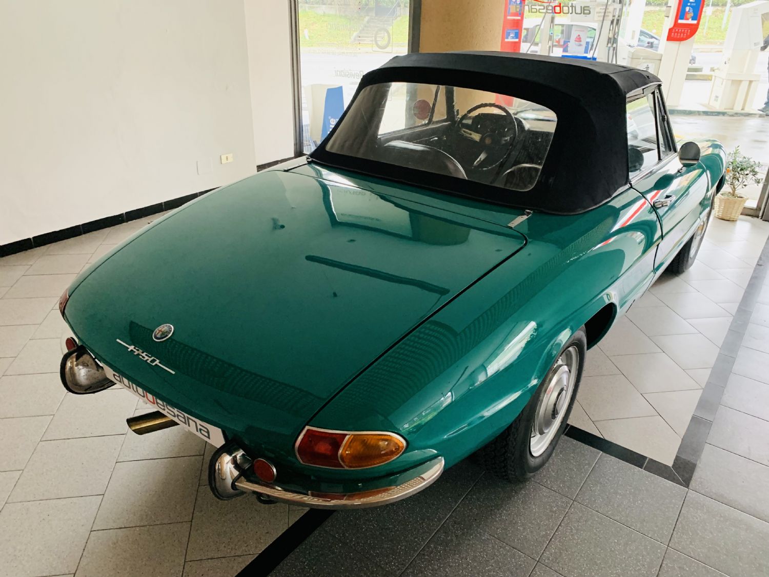 Alfa Romeo Spider Duetto Osso di Seppia 1750