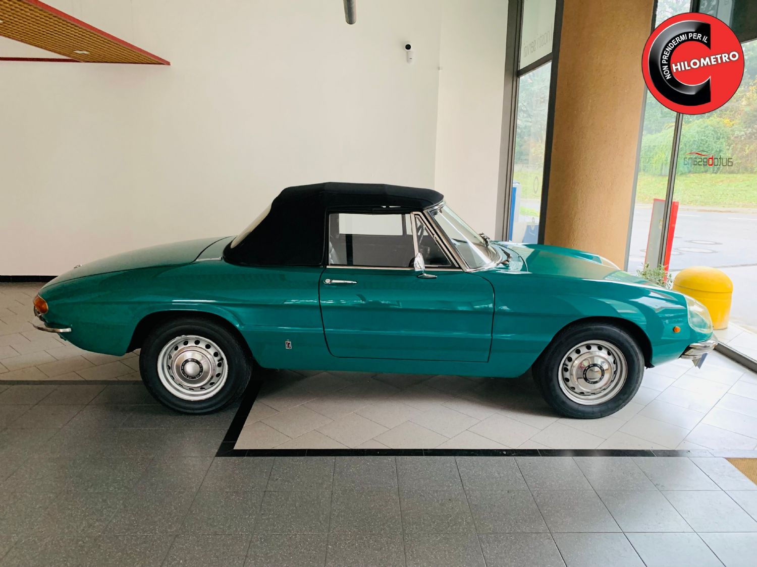 Alfa Romeo Spider Duetto Osso di Seppia 1750